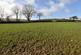 Additional image 26 of Bwlchygroe, Llanfyrnach, North Pembs SA35
