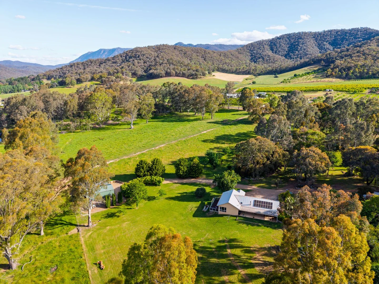 Additional image 32 of 411 Buffalo Creek Road, Myrtleford VIC 3737