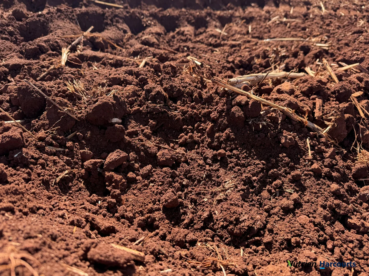 Additional image 22 of Lot 2 Reedy Creek Road, Benair QLD 4610