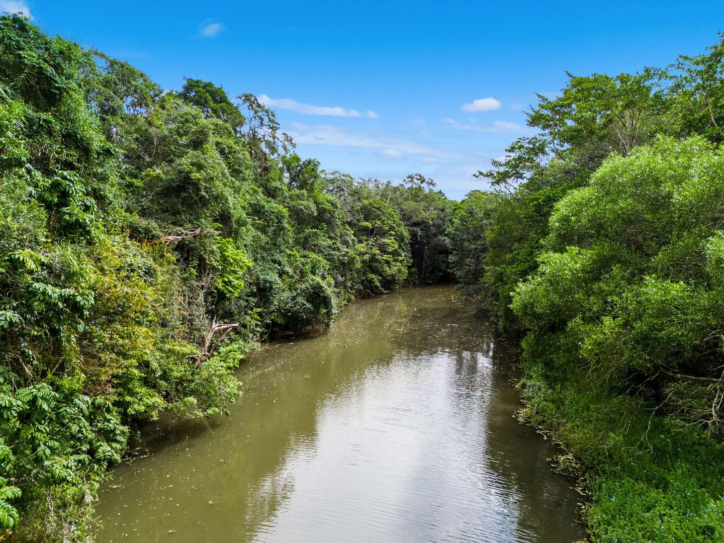 Additional image 28 of 271 Alcorn Road, Knockrow NSW 2479