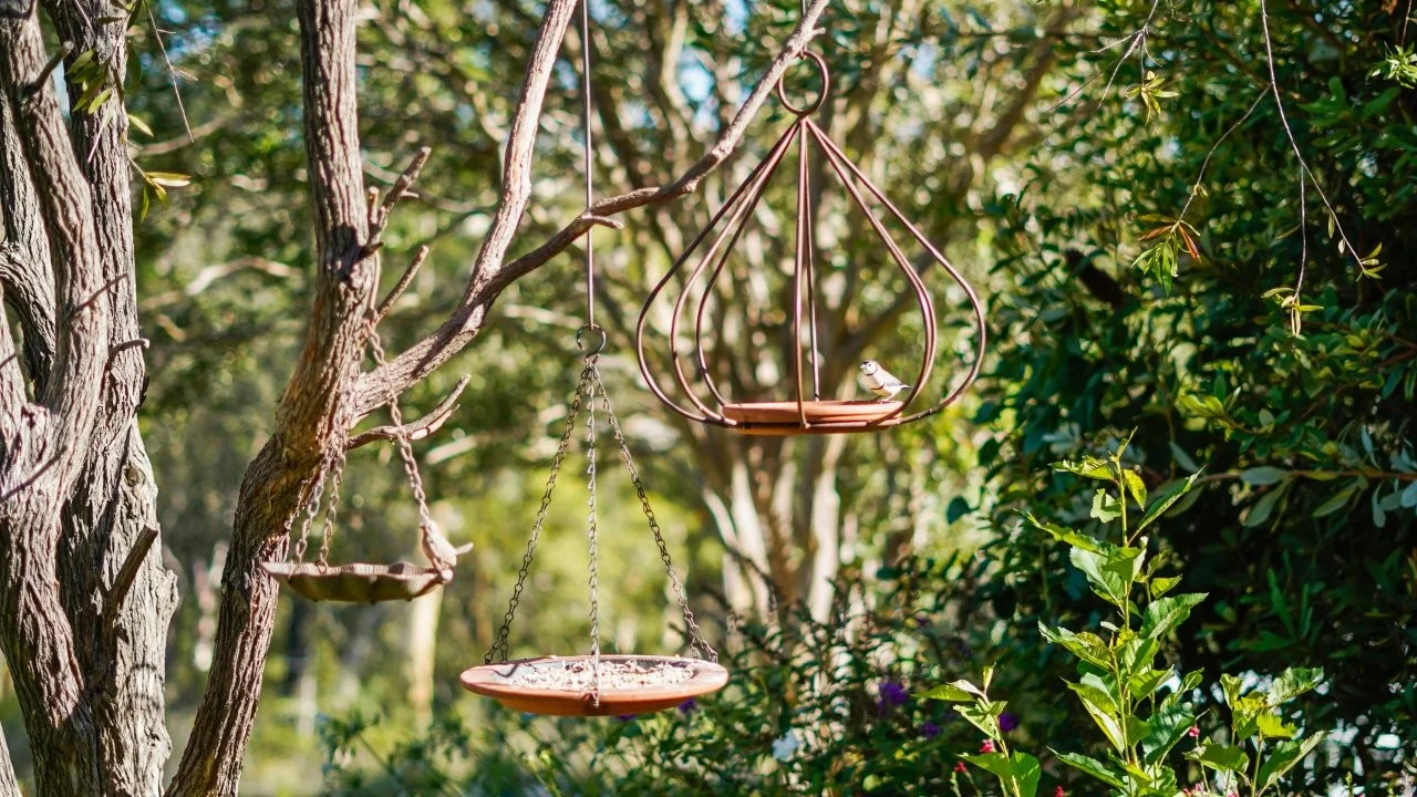 Additional image 38 of 295 Timor Road, Coonabarabran NSW 2357