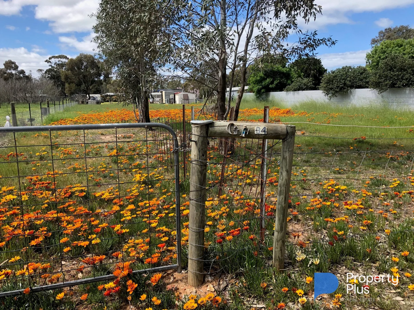 Additional image 15 of 34 Market Street, Newbridge VIC 3551