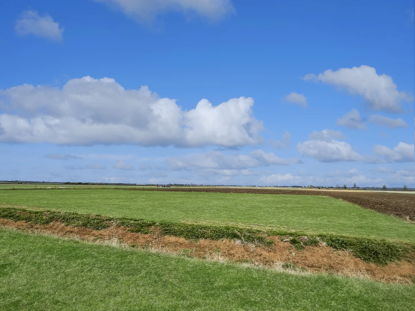 Additional image 7 of 12 Fowler Road, Beelbangera NSW 2680