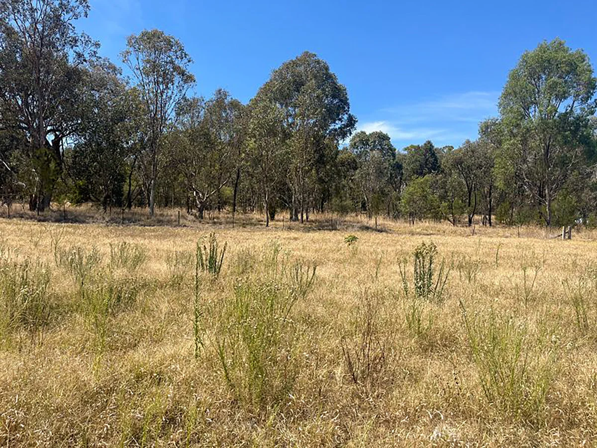 Additional image 6 of 25 Whitewater Terrace, Thurgoona NSW 2640