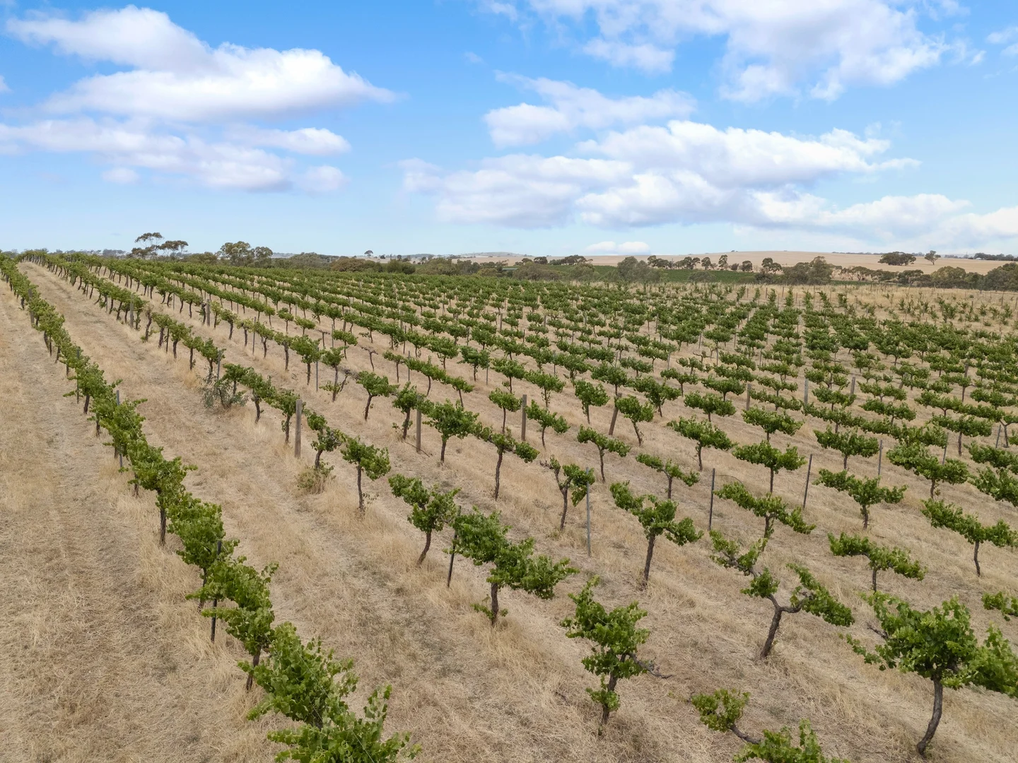 Additional image 7 of Lot 15 Horrocks Highway, Auburn SA 5451