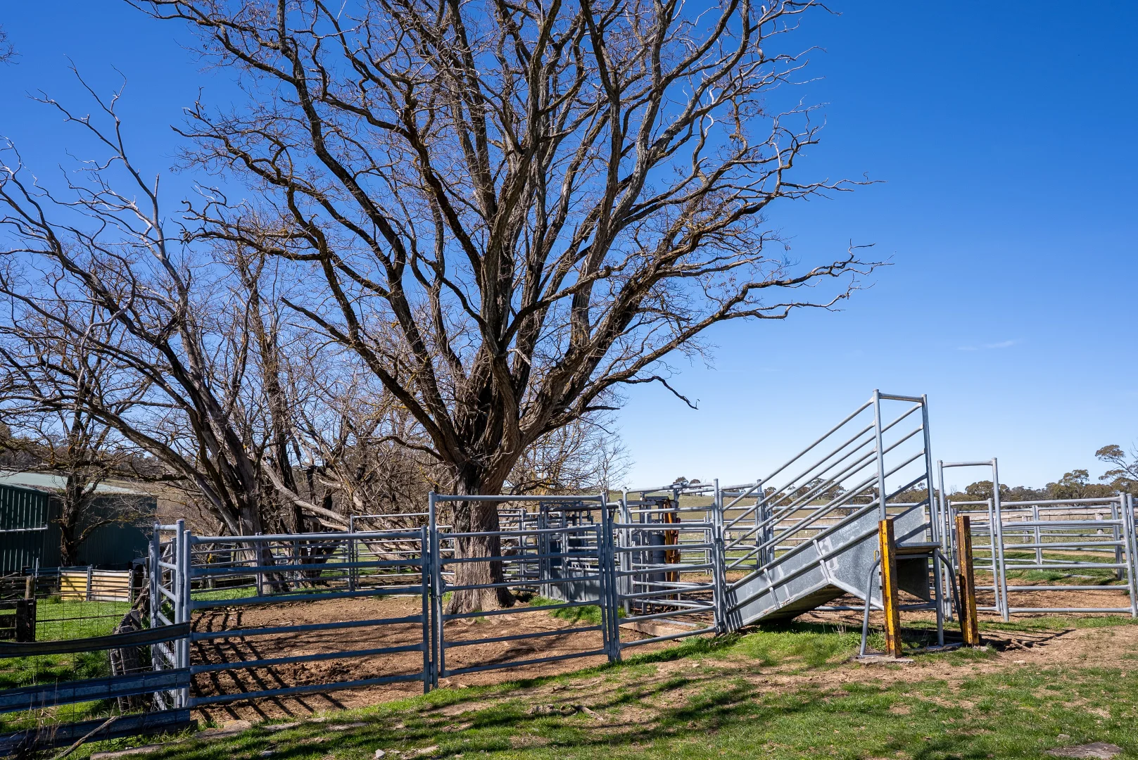 Additional image 13 of 5353 Trunkey Road, Trunkey Creek NSW 2795