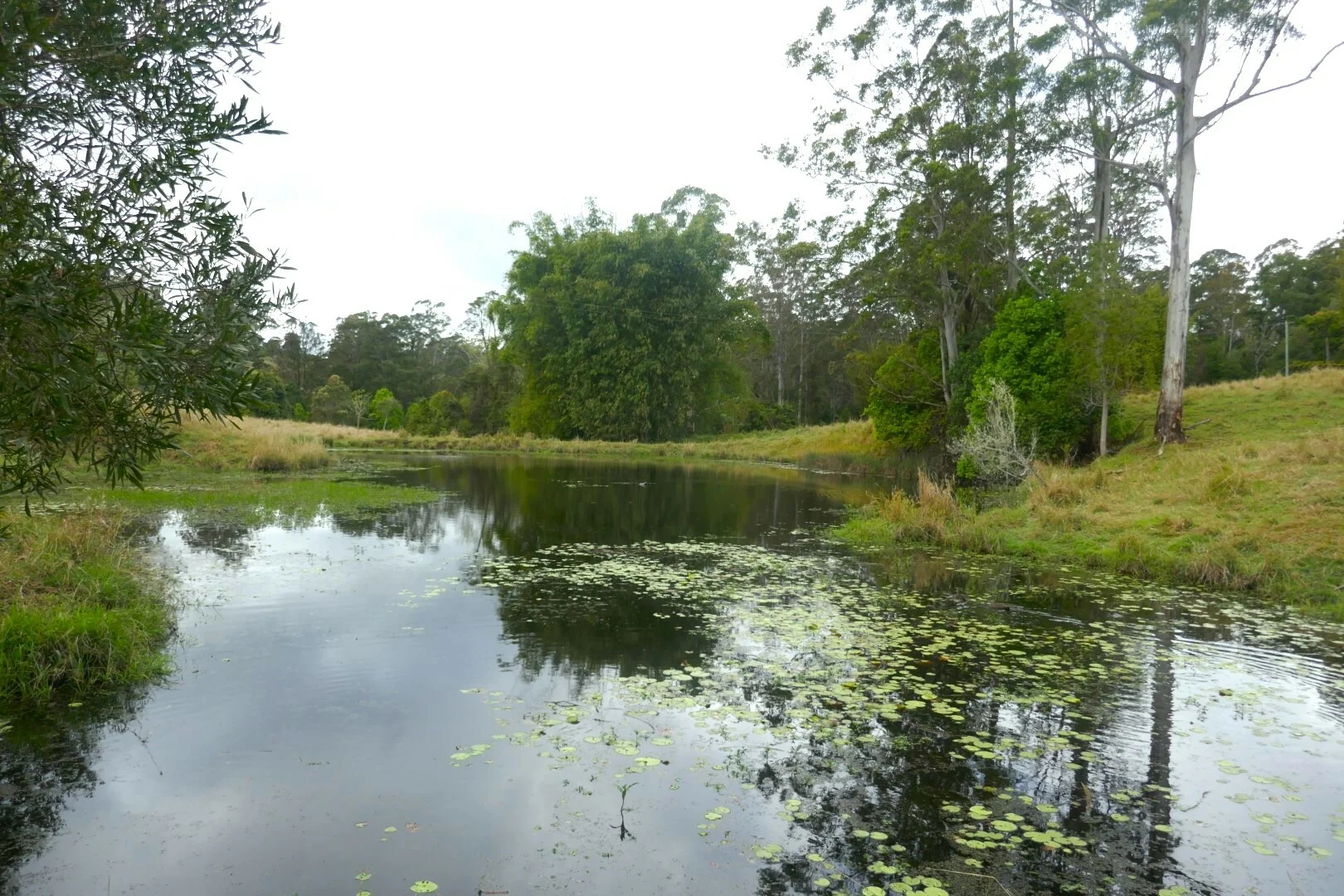 Additional image 19 of 66 Old Tweed Road, Wadeville NSW 2474