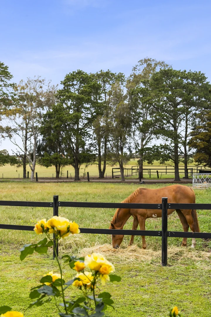 Additional image 40 of 2249 Midland Highway, Bannockburn VIC 3331