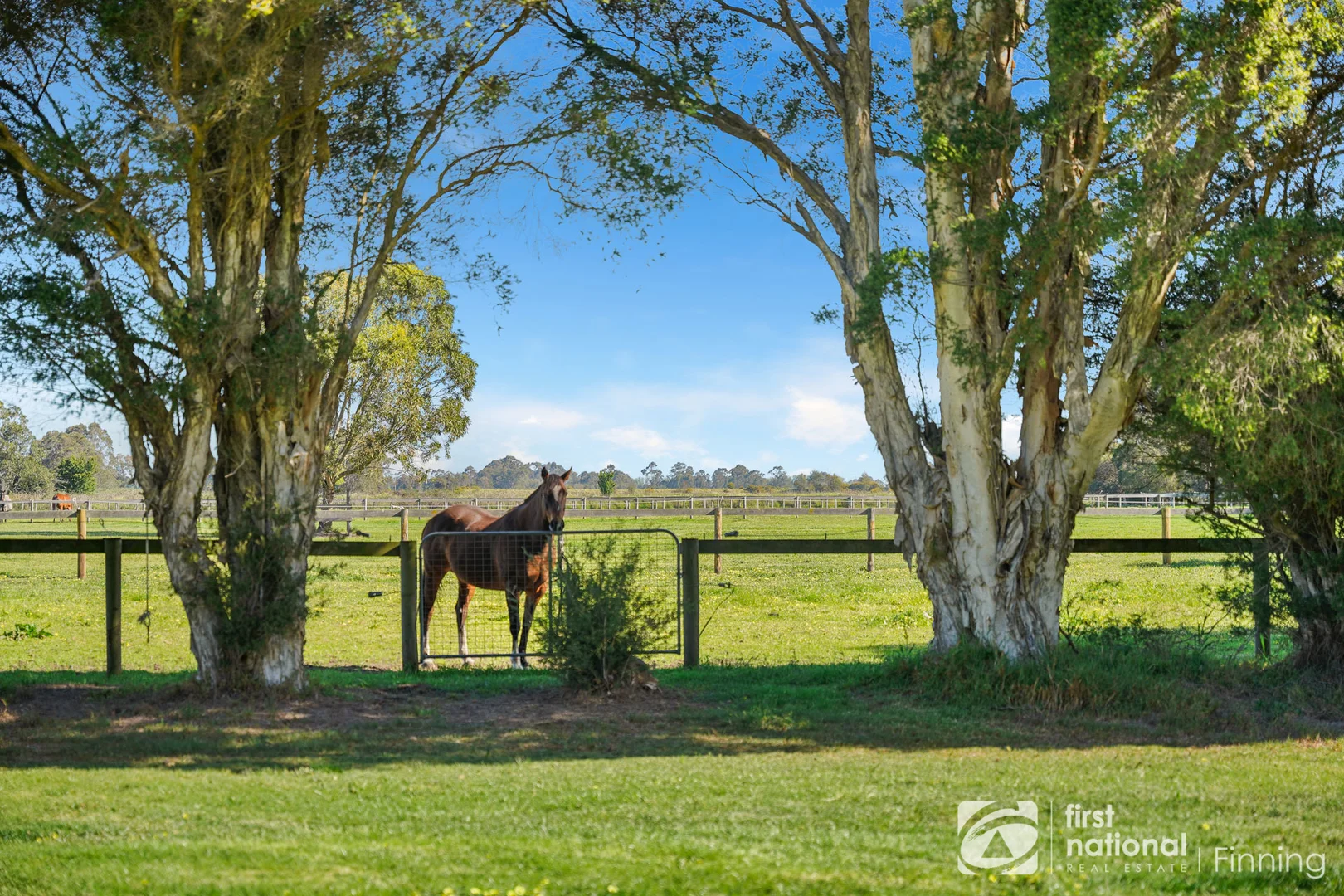 Additional image 25 of 165 Scanlons Drain Road, Bayles VIC 3981