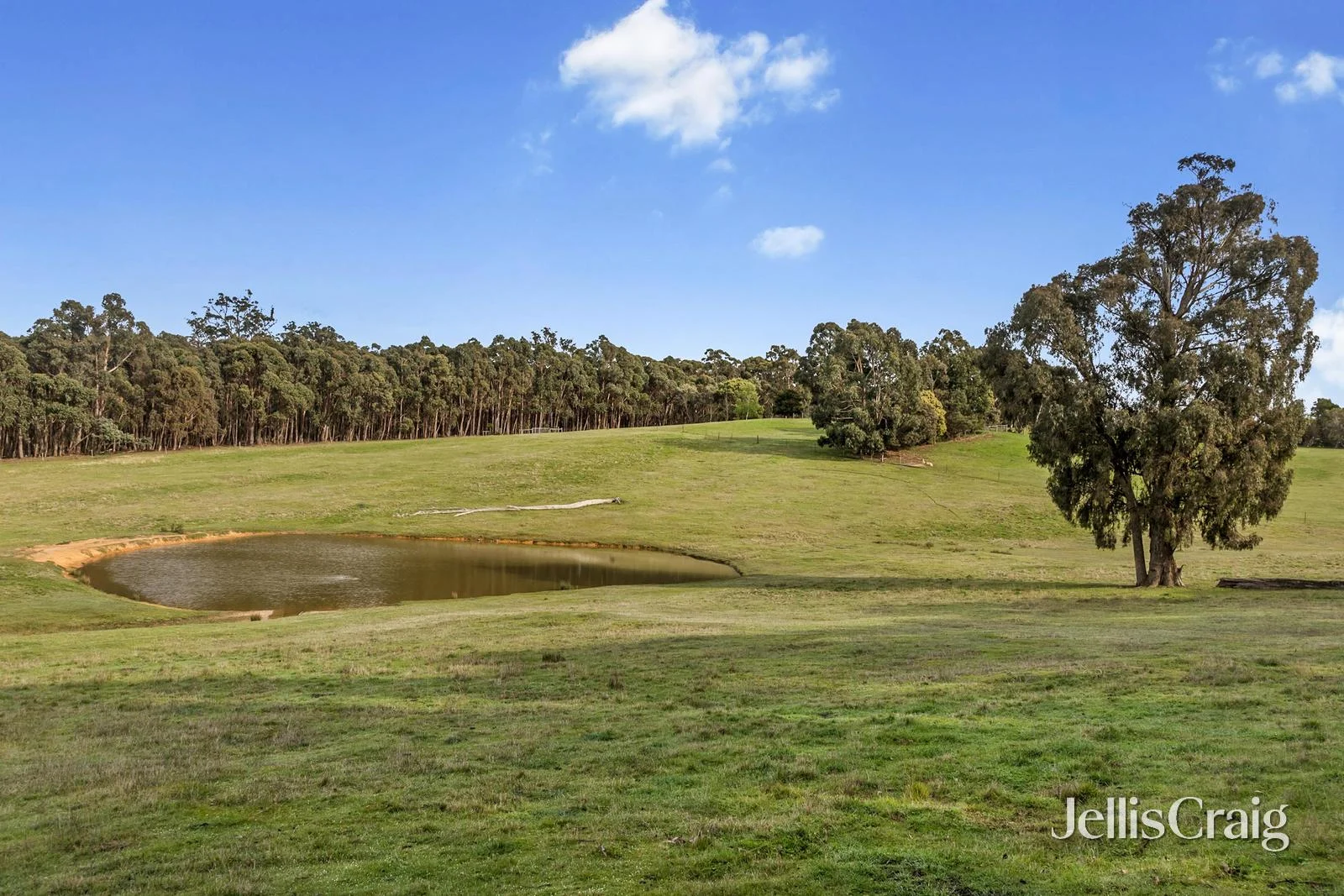 Additional image 18 of 85 Lightwood Drive, Wheatsheaf VIC 3461