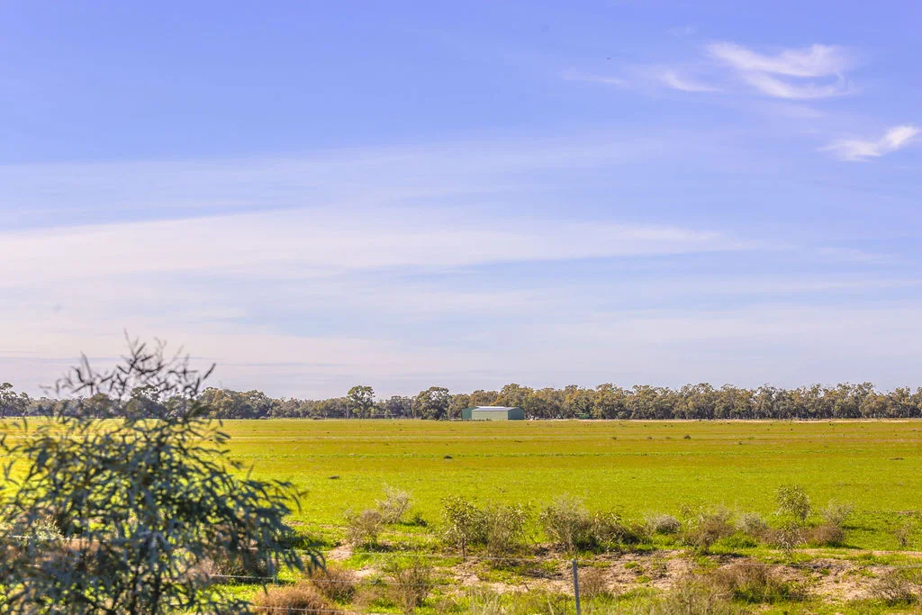 Additional image 14 of 'Wetuppa' 245 Fisher Lane, Wetuppa NSW 2734