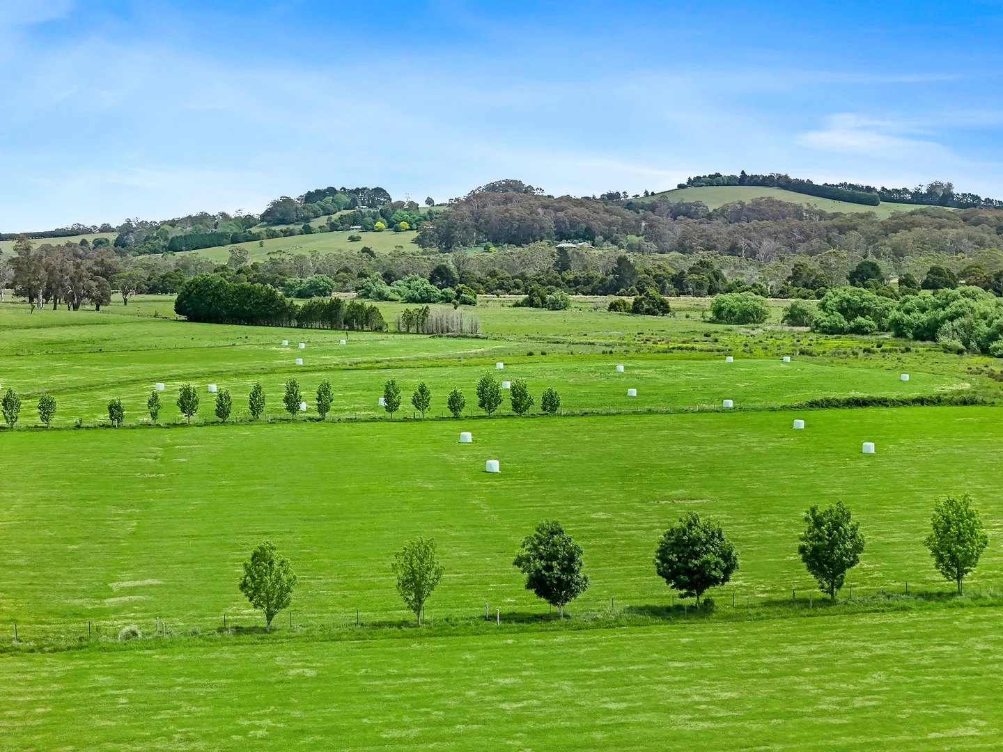 Additional image 55 of 50 Blencowes Lane, Wildes Meadow NSW 2577