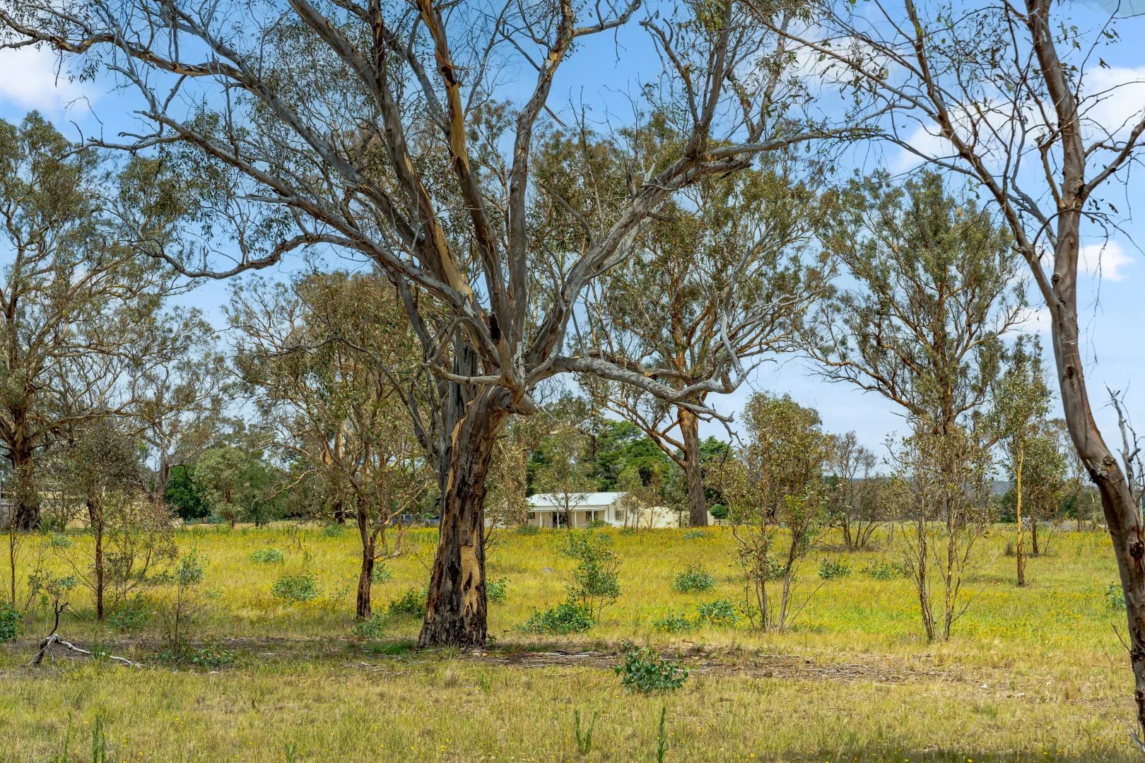 Additional image 73 of 14 Avonley Road, Majura ACT 2609