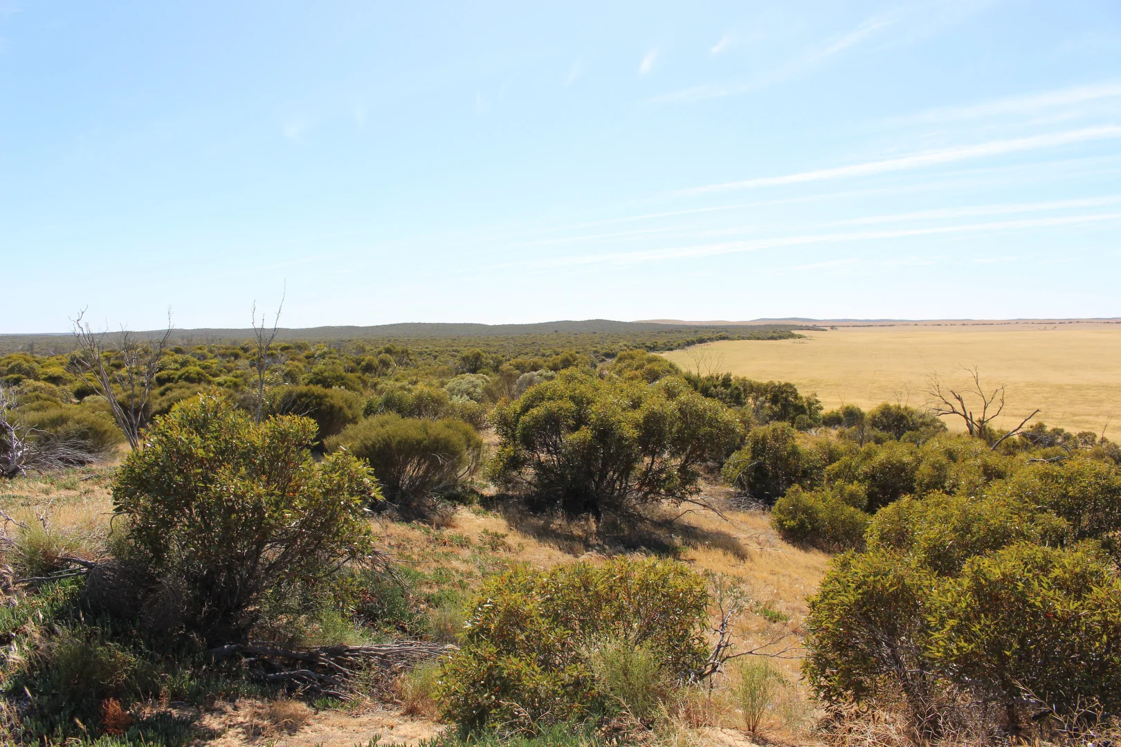 Additional image 2 of S22 Tori Hills Road, Sandalwood SA 5309