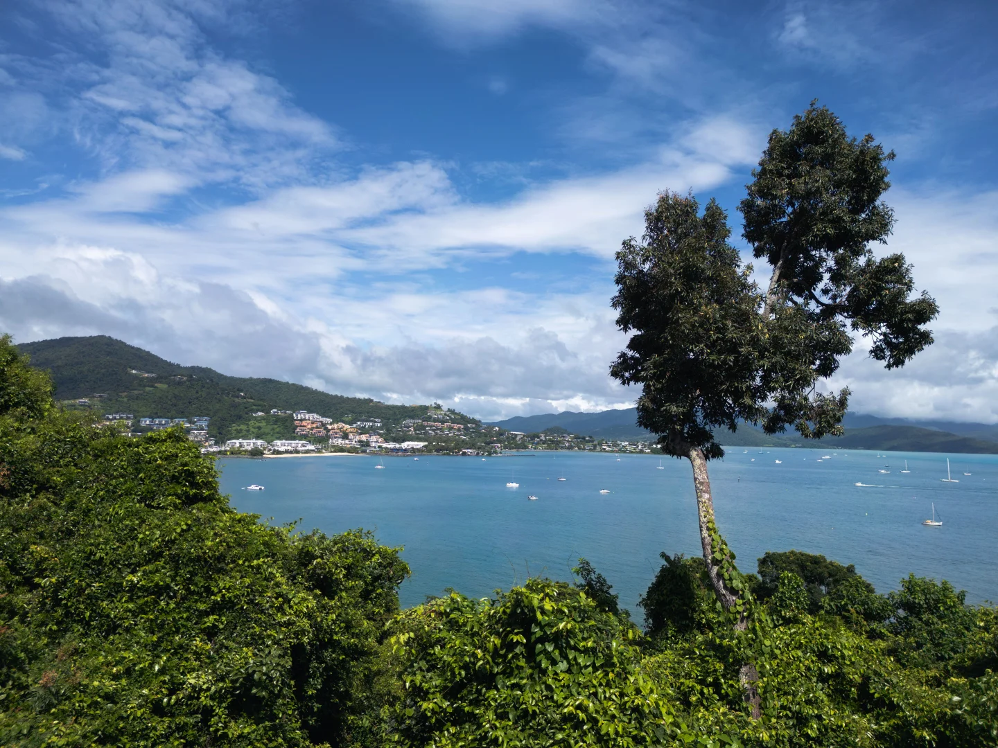 Additional image 6 of Lot 9/280 Mandalay Road, Mandalay QLD 4802