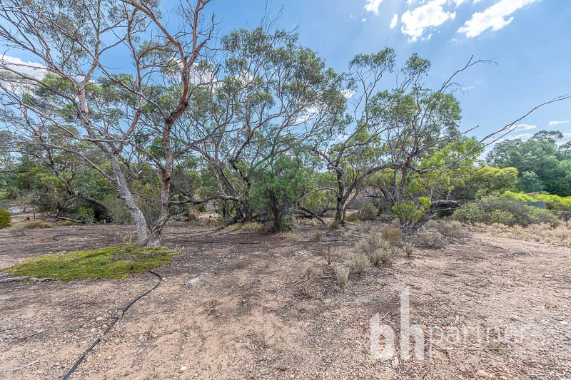 Additional image 4 of Lot 5 Black Hill Road, Cambrai SA 5353