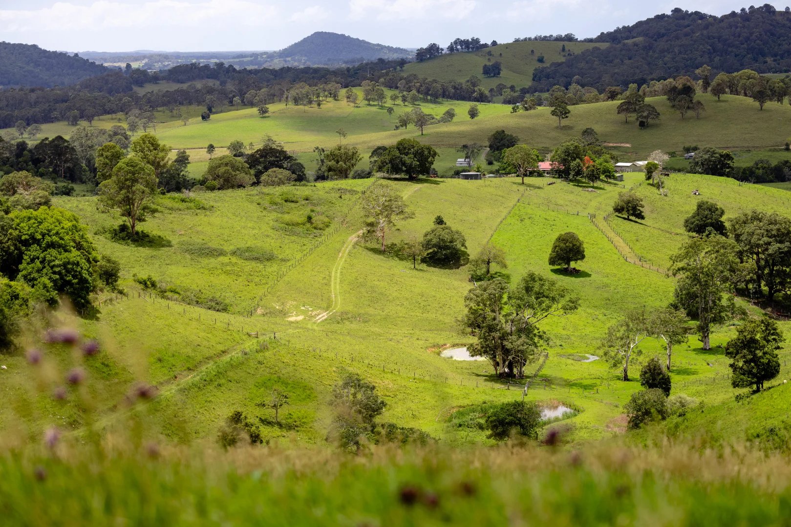 Additional image 13 of 39 Sambells Road, Firefly NSW 2429