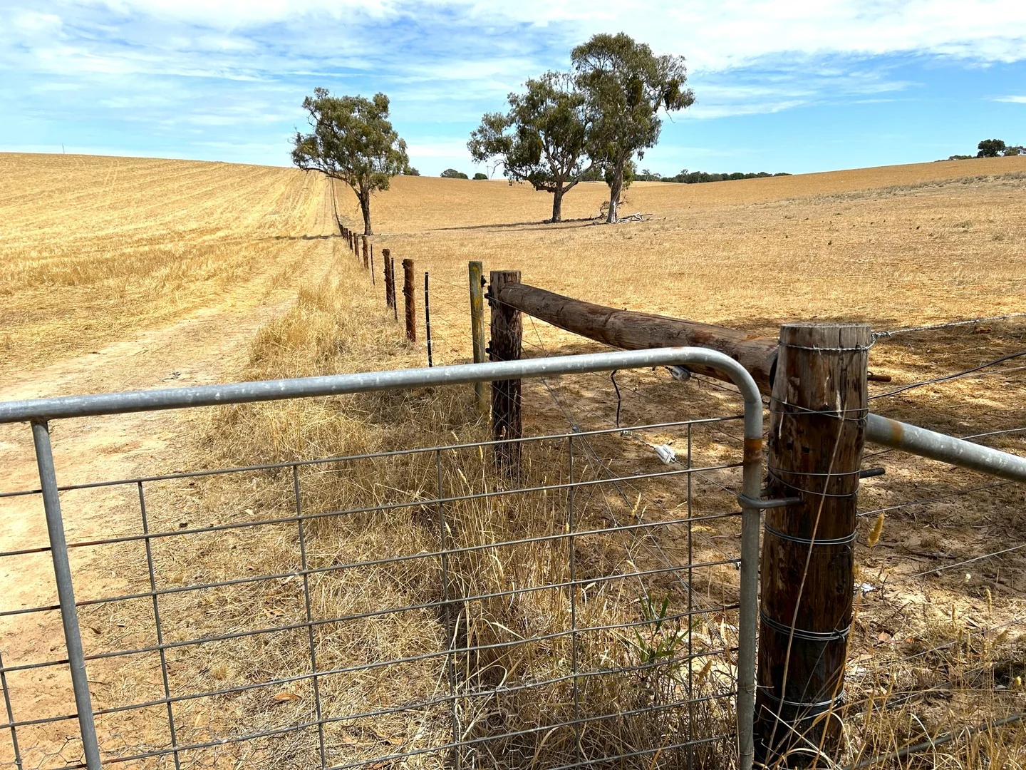 Additional image 12 of Lot 189 and 323 Roy Lawries Road, Lochaber SA 5271