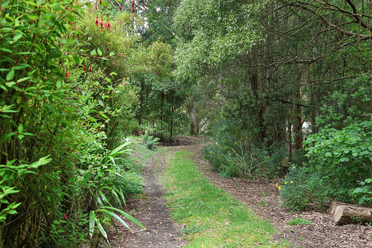 Additional image 25 of 5035 Great Ocean Road, Lavers Hill VIC 3238