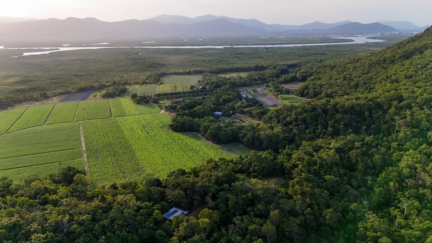 Additional image 36 of 1060 Pine Creek Yarrabah Road, East Trinity QLD 4871