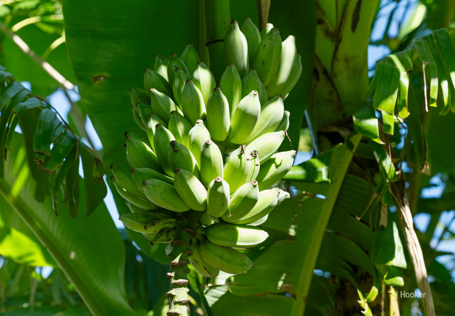 Additional image 16 of 7114 Brisbane Valley Highway, Toogoolawah QLD 4313