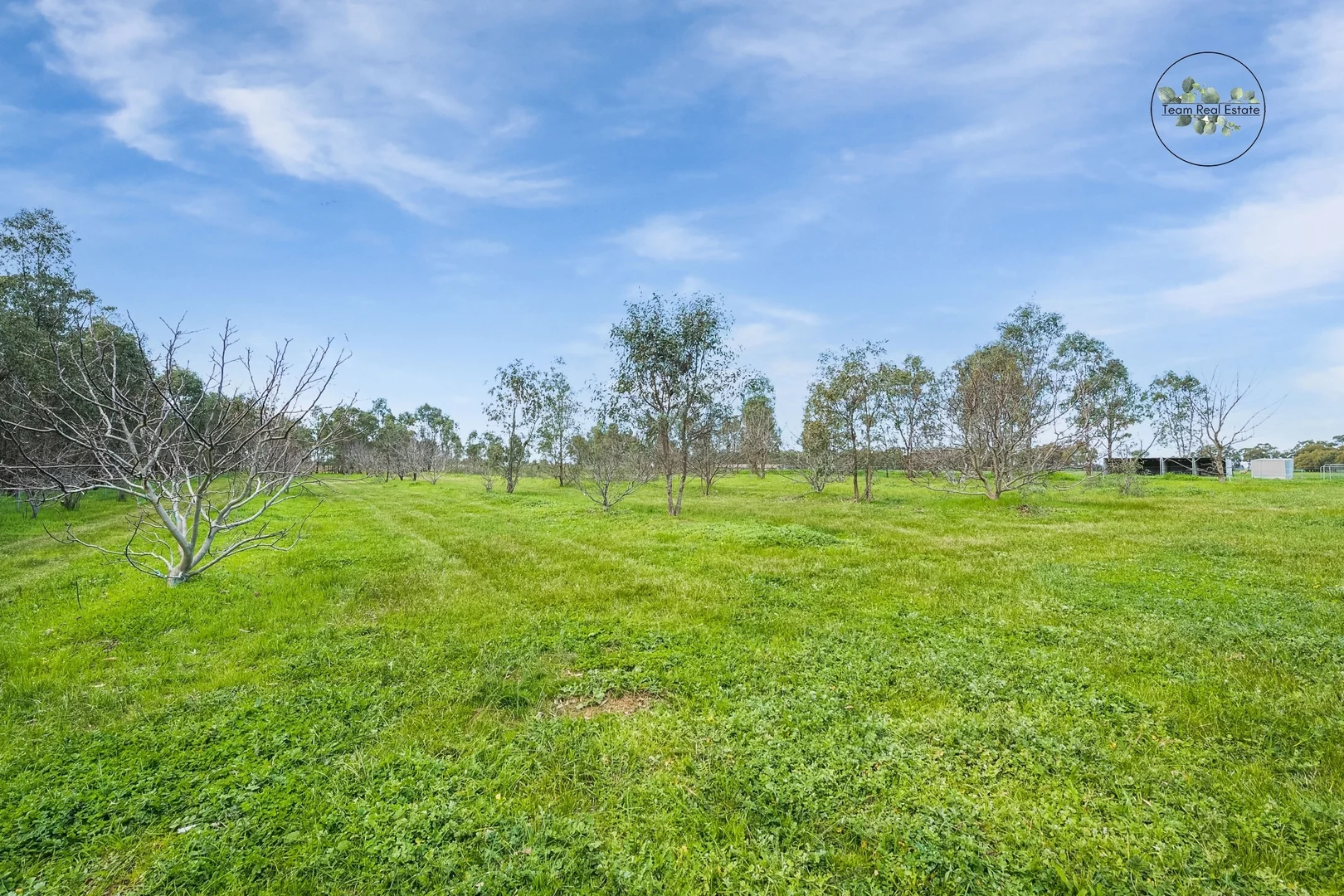 Additional image 9 of 161 Old Bridgewater-Serpentine Road, Bridgewater VIC 3516