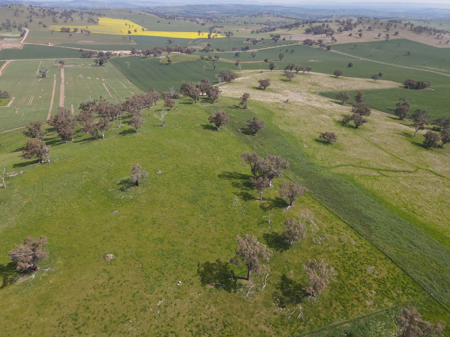 Additional image 10 of Woodstock NSW 2793