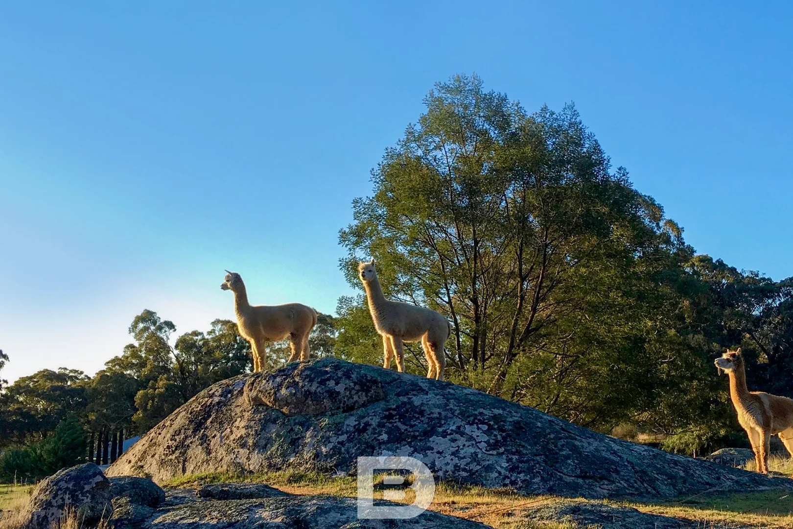 Additional image 31 of 166 Bald Hill Road, Kyneton VIC 3444