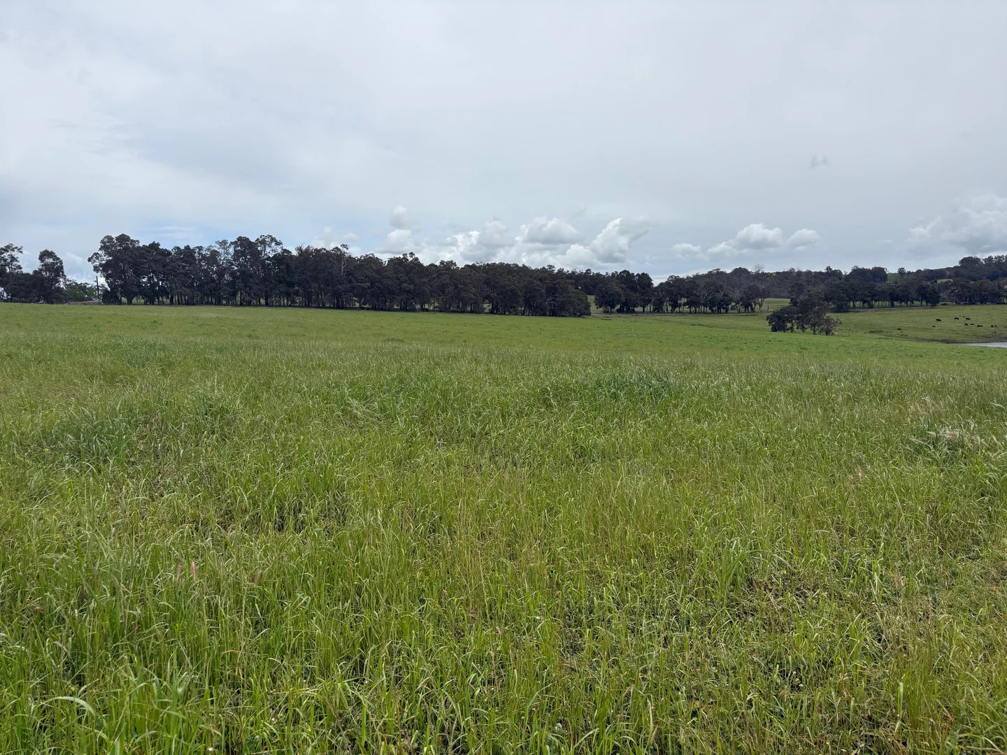 Additional image 21 of Lot 72 Beelerup Road, Beelerup WA 6239