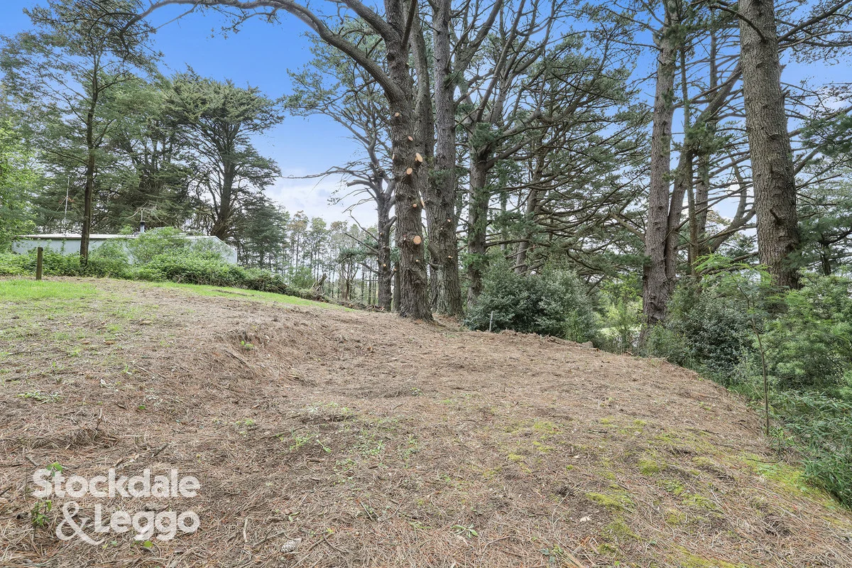 1455 Grand Ridge Road, Trida VIC 3953