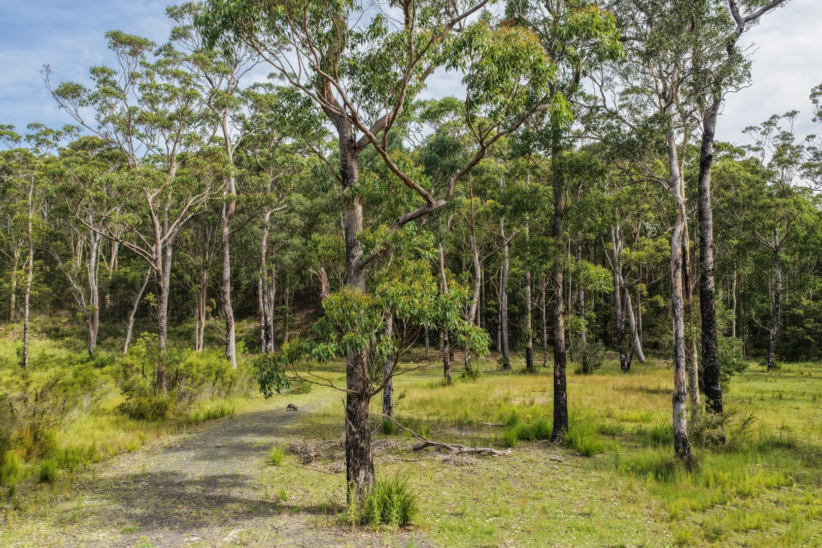 Additional image 11 of 531 Skylark Close, Bawley Point NSW 2539