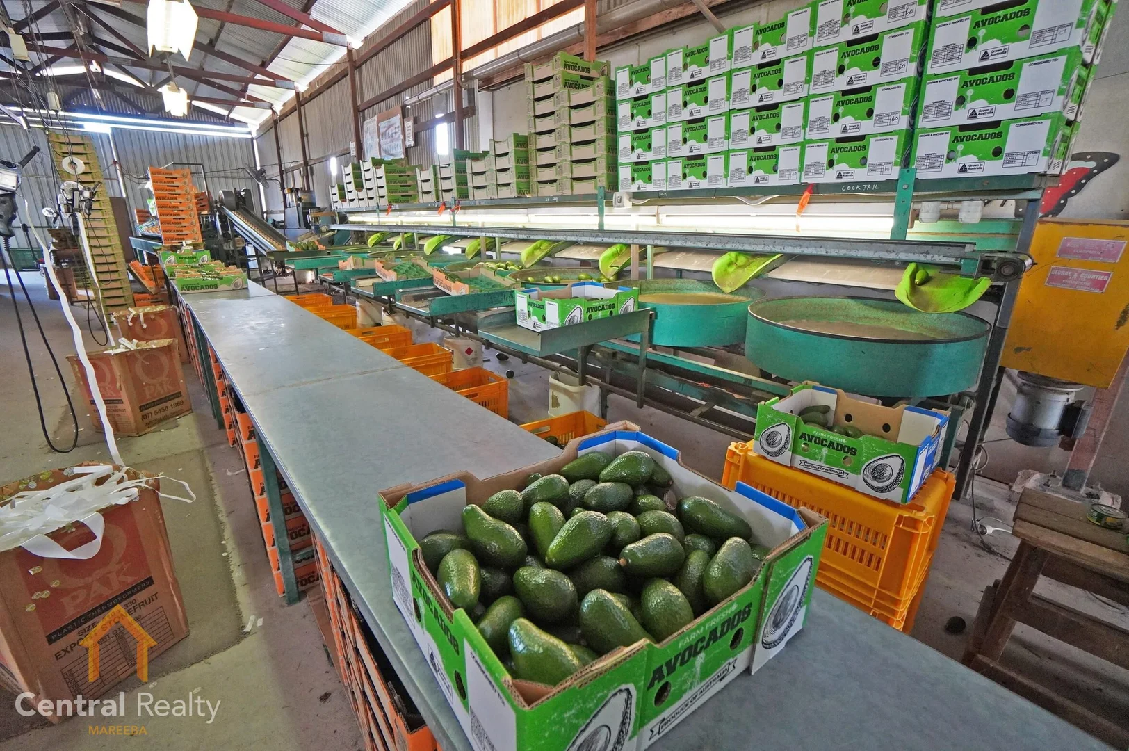 Additional image 12 of 44 Carman Road, Mareeba QLD 4880