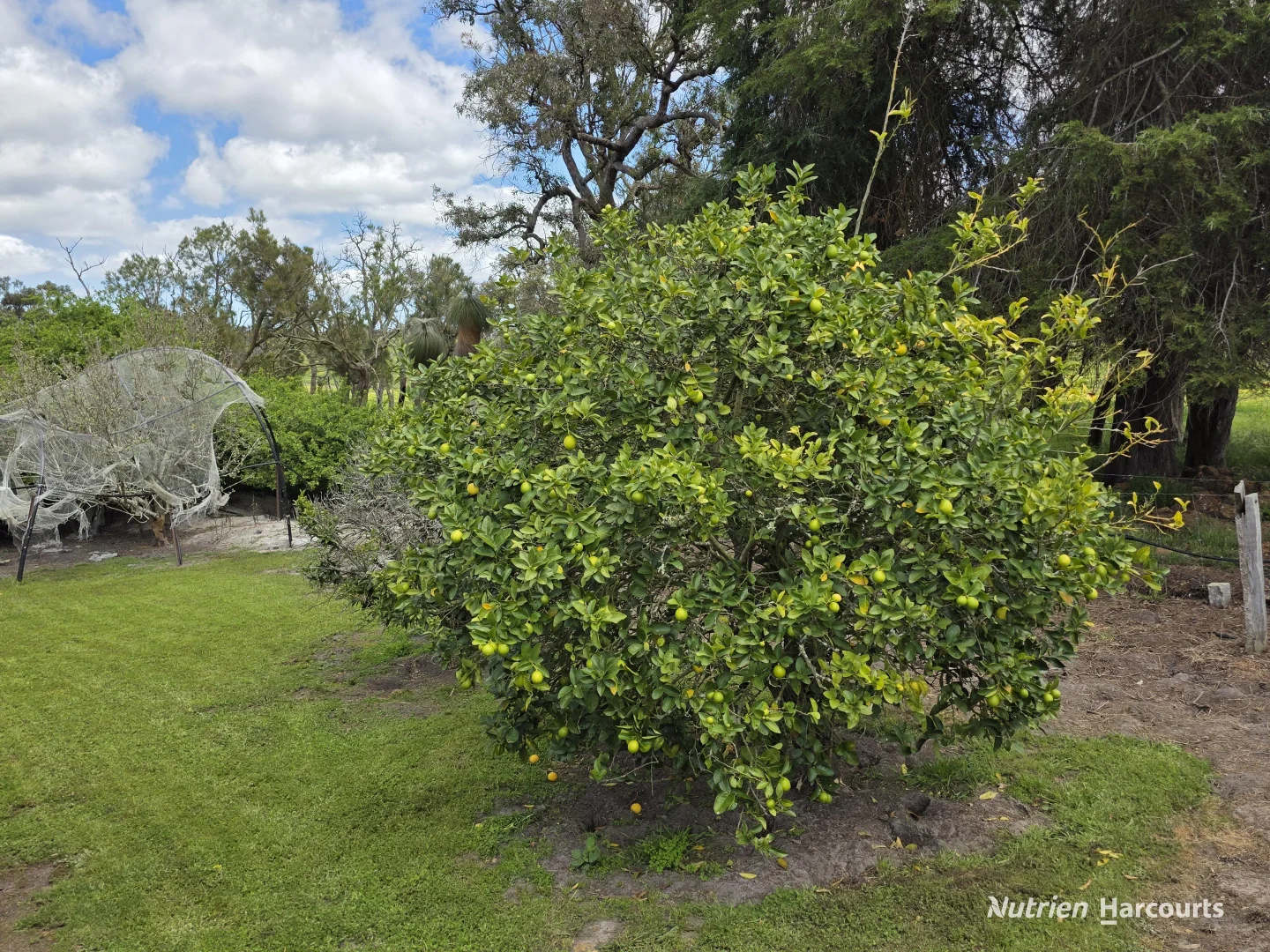 Additional image 33 of 1867 Chester Pass Road, Napier WA 6330