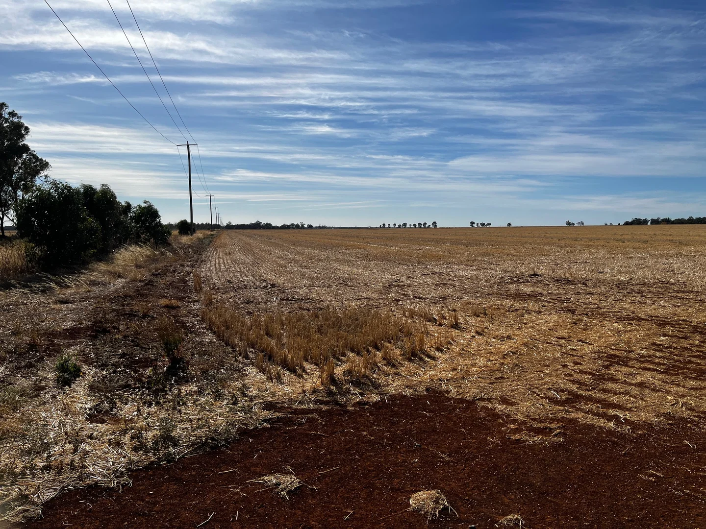 Additional image 3 of Lot 2 PS445124Y Wilson Road, Nanneella VIC 3561