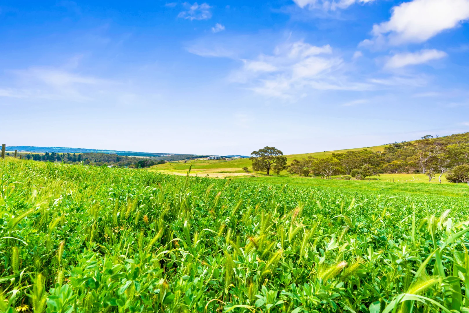 Additional image 9 of 700 Cleland Gully Road, Tooperang SA 5255