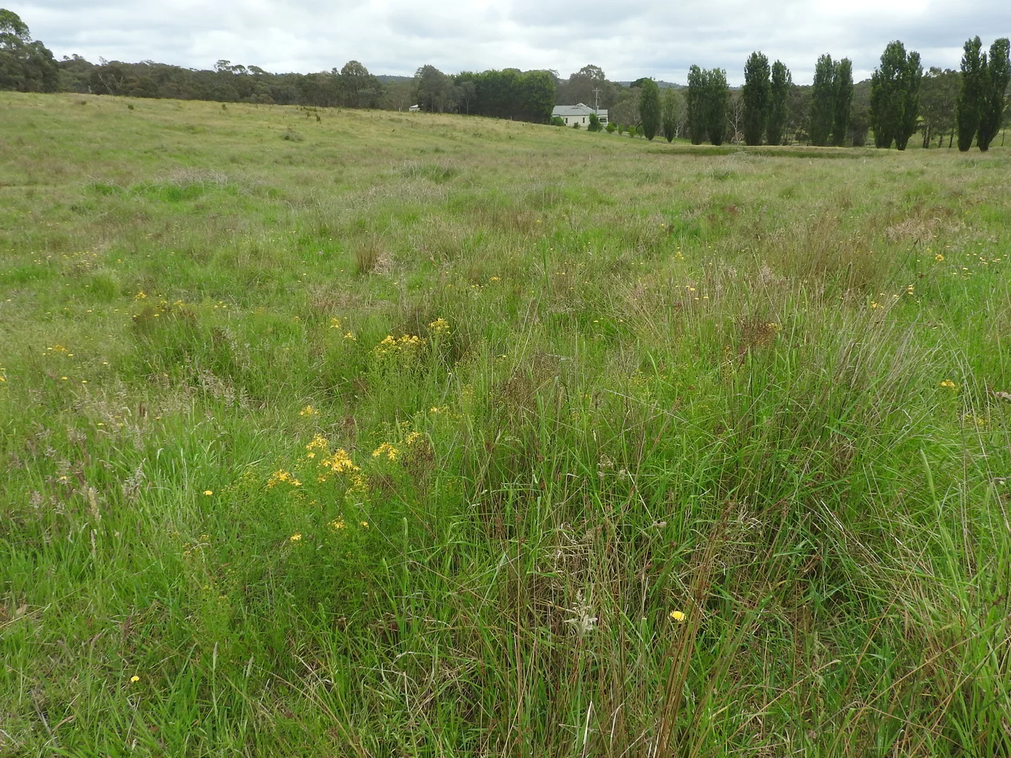 Additional image 8 of 158 Sunny Corner Road, Portland NSW 2847