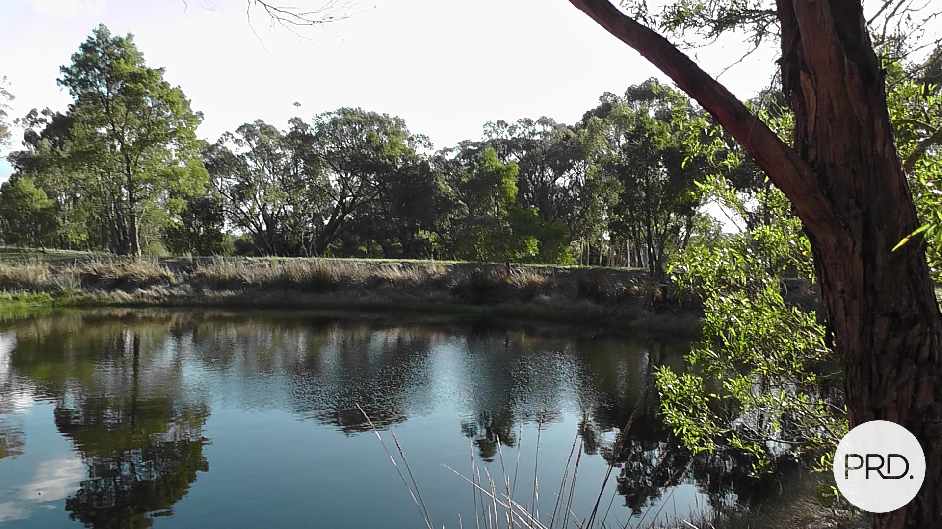 Additional image 4 of Lot 6 Eucalyptus Drive, Invermay VIC 3352