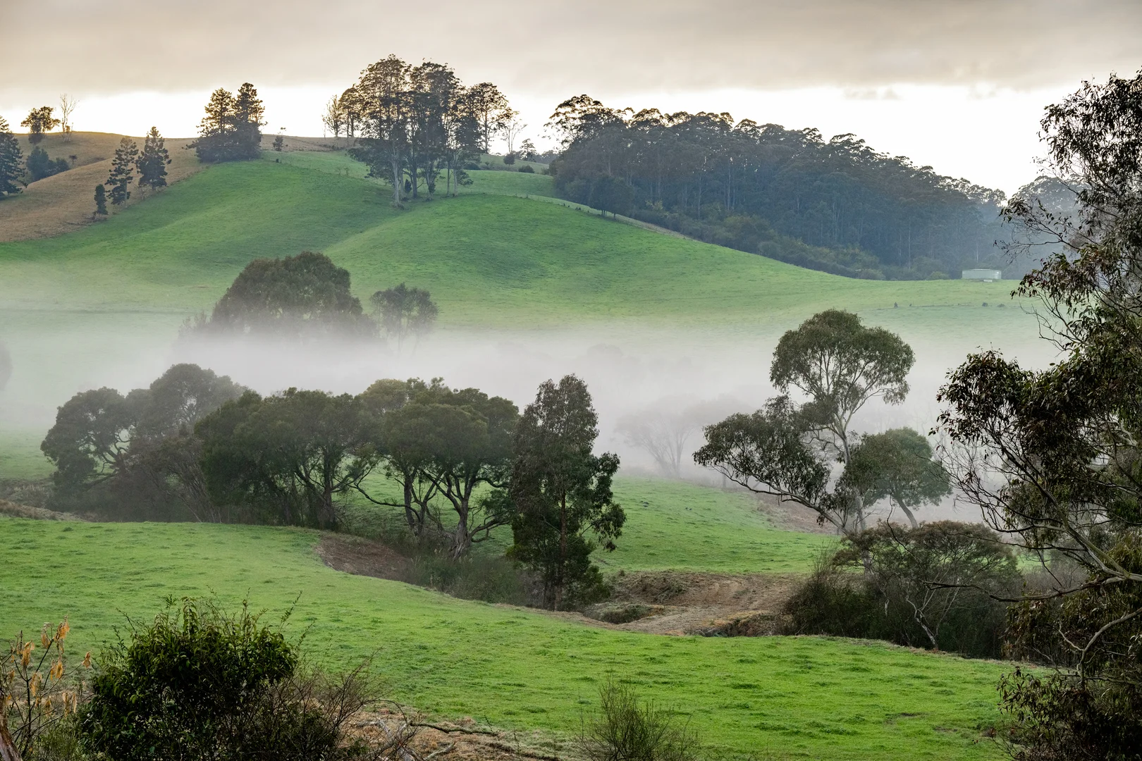 Additional image 7 of 1431 Coramba Road, Dorrigo NSW 2453