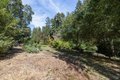 Additional image 43 of 9935 Occidental Rd, Sebastopol, CA, 95472