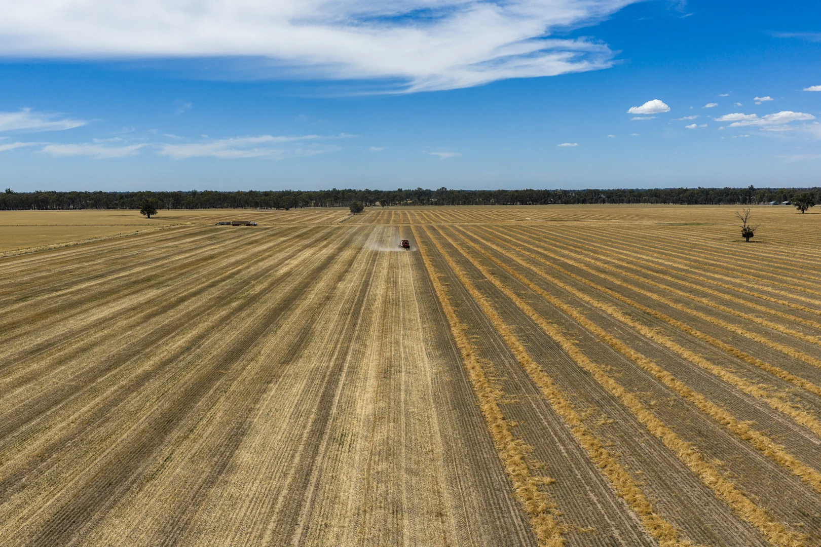 Additional image 11 of 600 Trevaskis Road, Kialla East VIC 3631