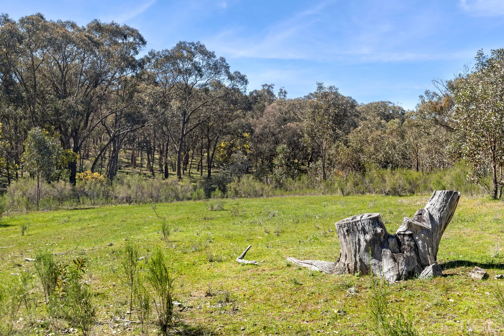 Additional image 15 of 595 Providence Gully Road, Yandoit Hills VIC 3461