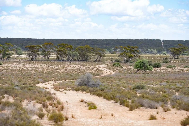 Additional image 12 of Sections 3 Murraylands Road, Blanchetown SA 5357