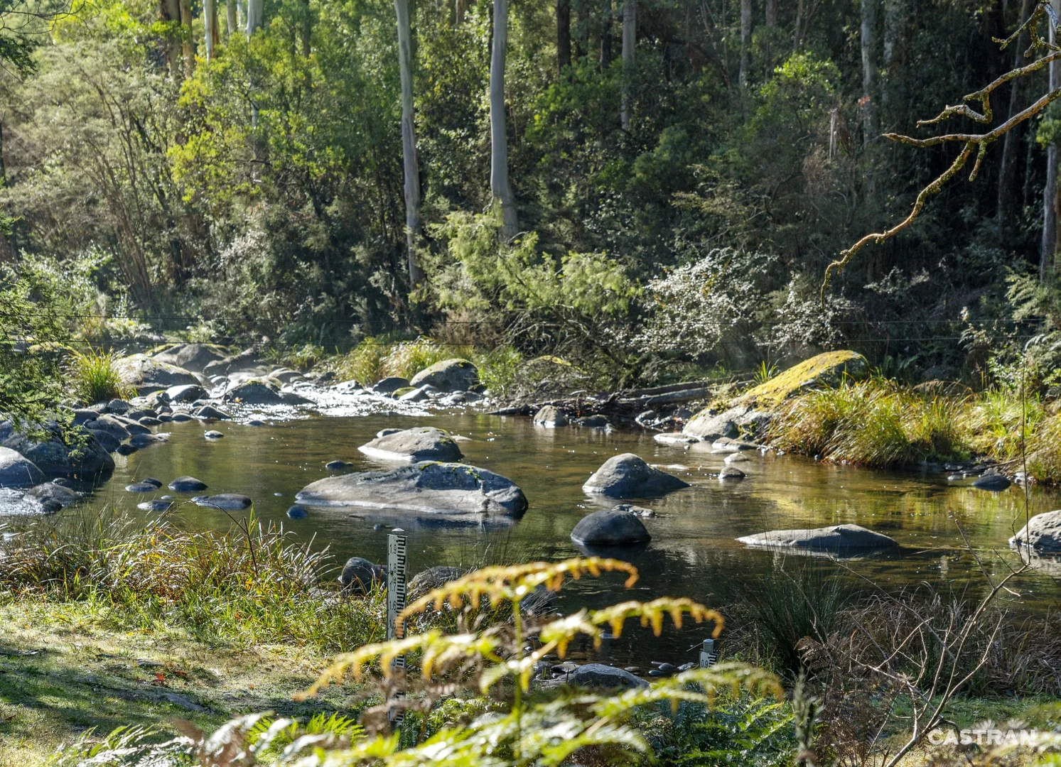 Additional image 28 of 1 Mountain View Parade, Bogong VIC 3699