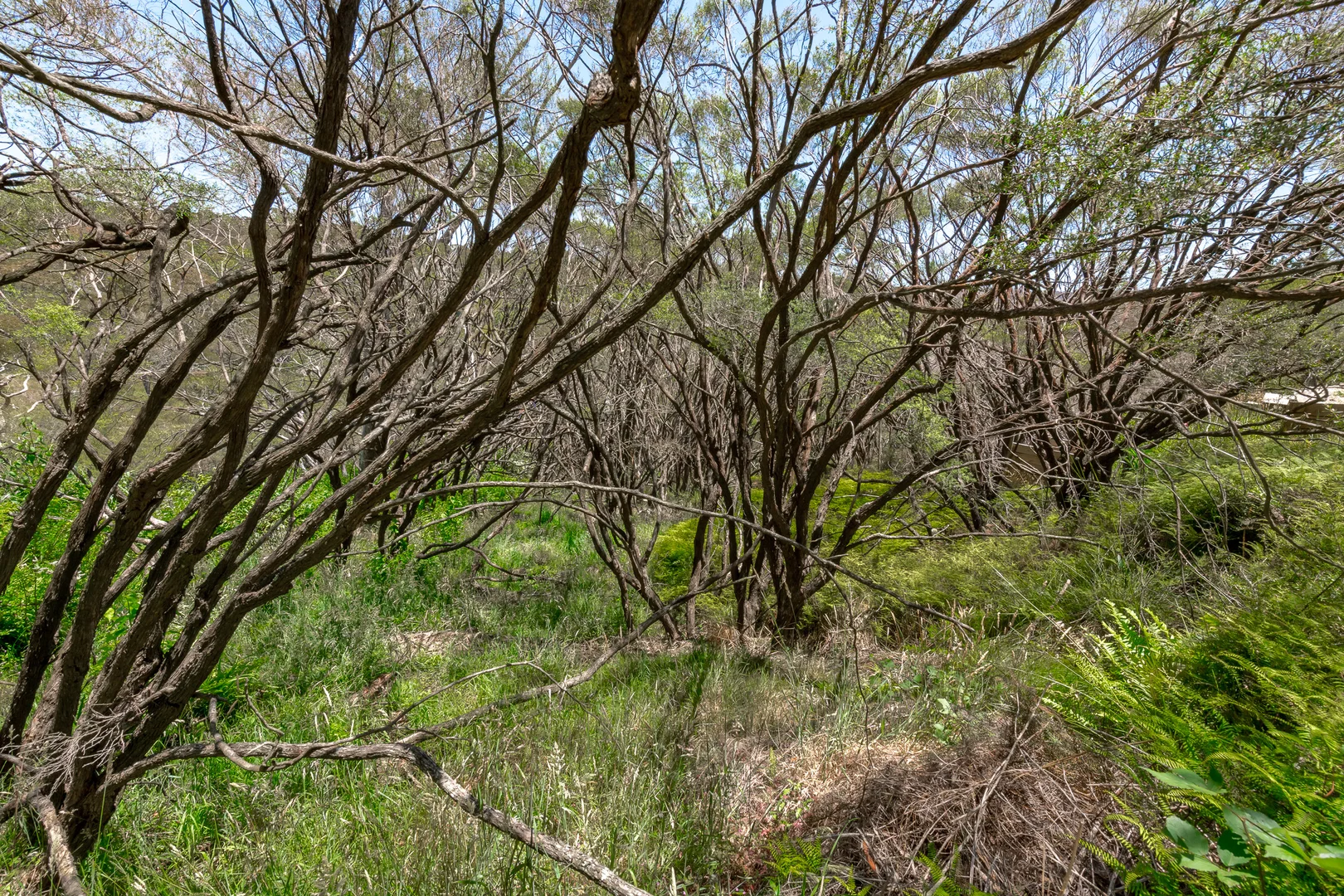 Additional image 6 of 58 First Avenue, Katoomba NSW 2780