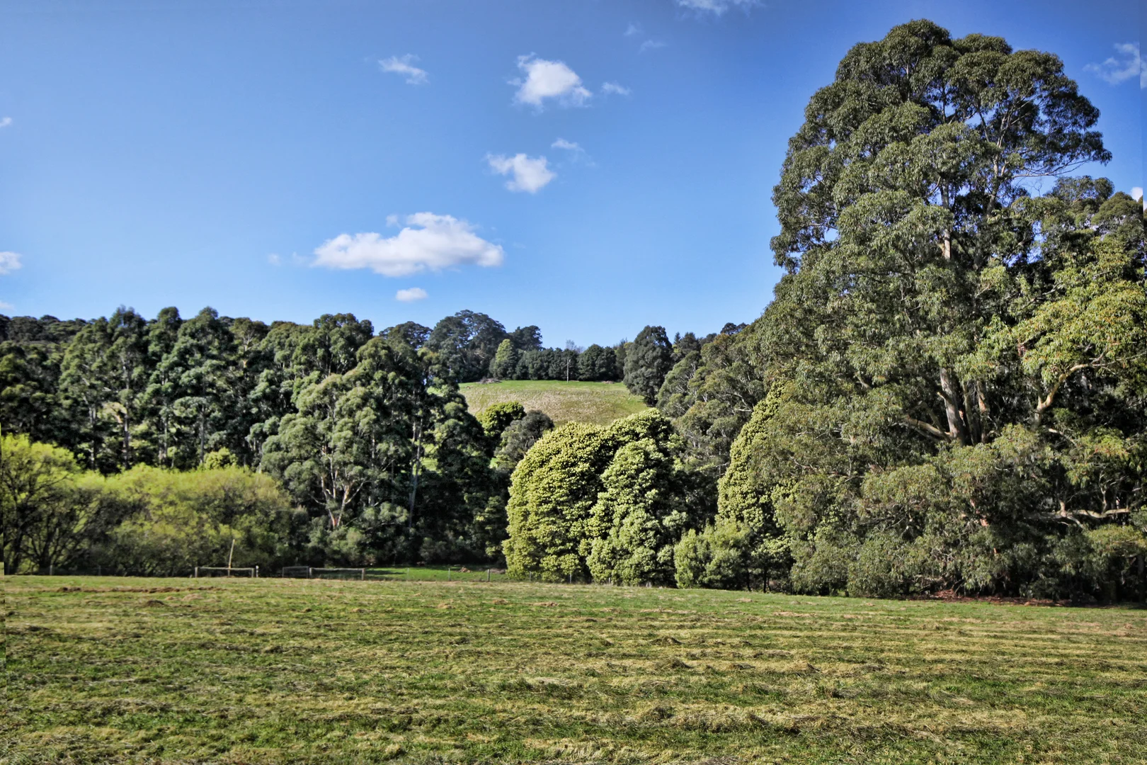 Additional image 15 of 131 Shannons Lane, Kerrie VIC 3434