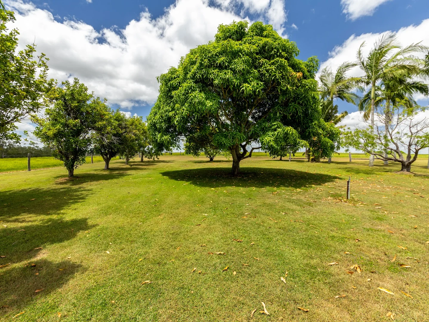 Additional image 20 of South Kolan QLD 4670