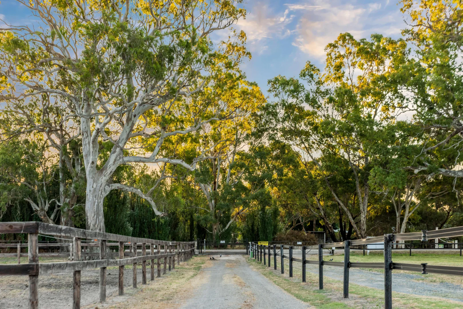 Additional image 56 of 59 McLean Road, Birdwood SA 5234