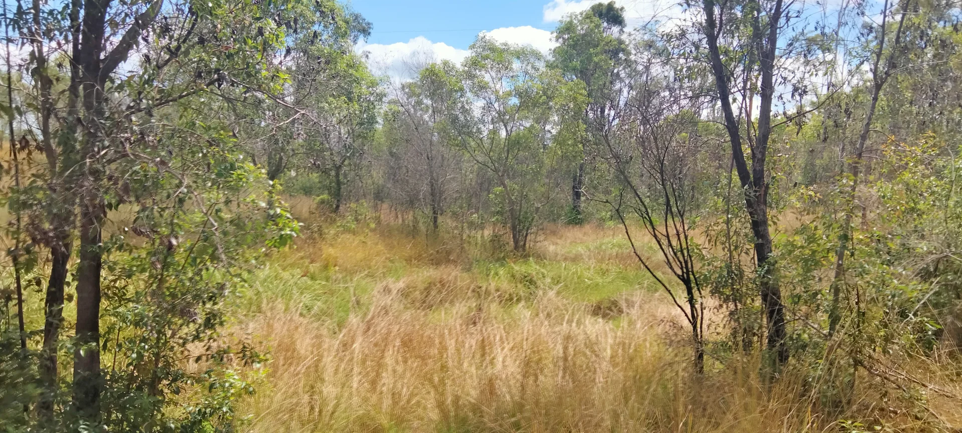 Additional image 42 of 3359 Lowmead Road, Lowmead QLD 4676