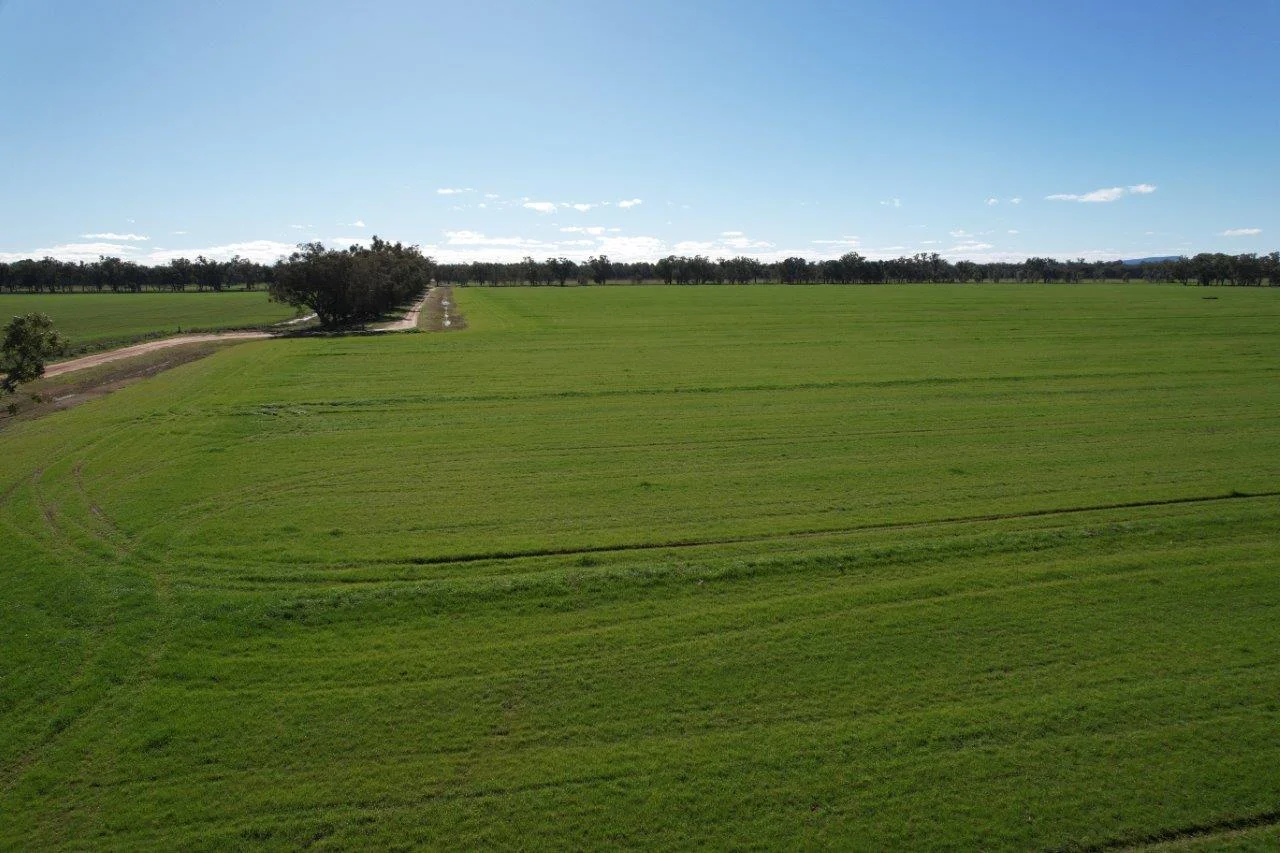 Additional image 7 of 8065 Lachlan Valley Way, Forbes NSW 2871