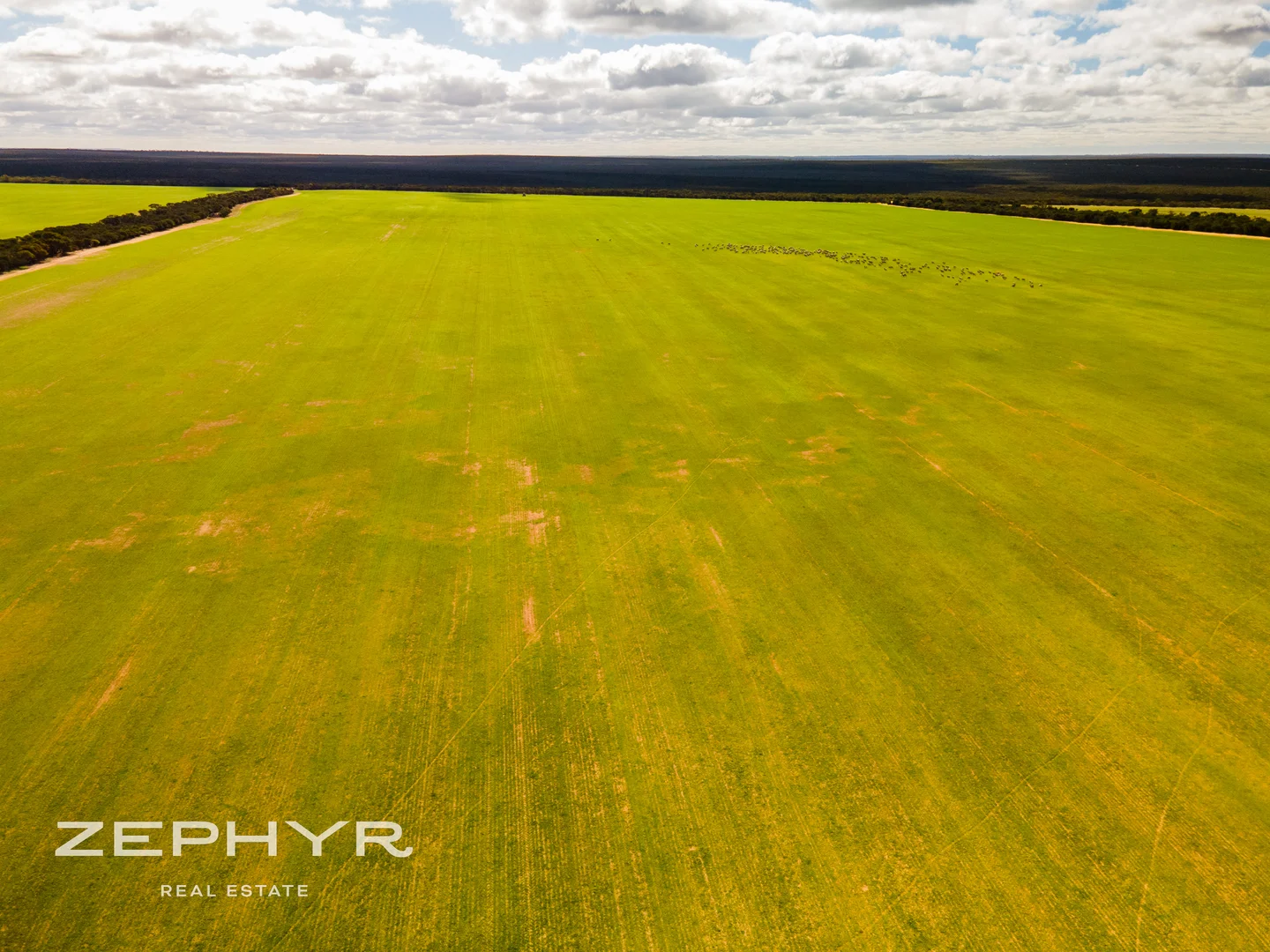 Additional image 27 of 885 Brennand Road, South Yilgarn WA 6426